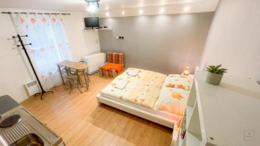 Apartment Jursport Závažná Poruba